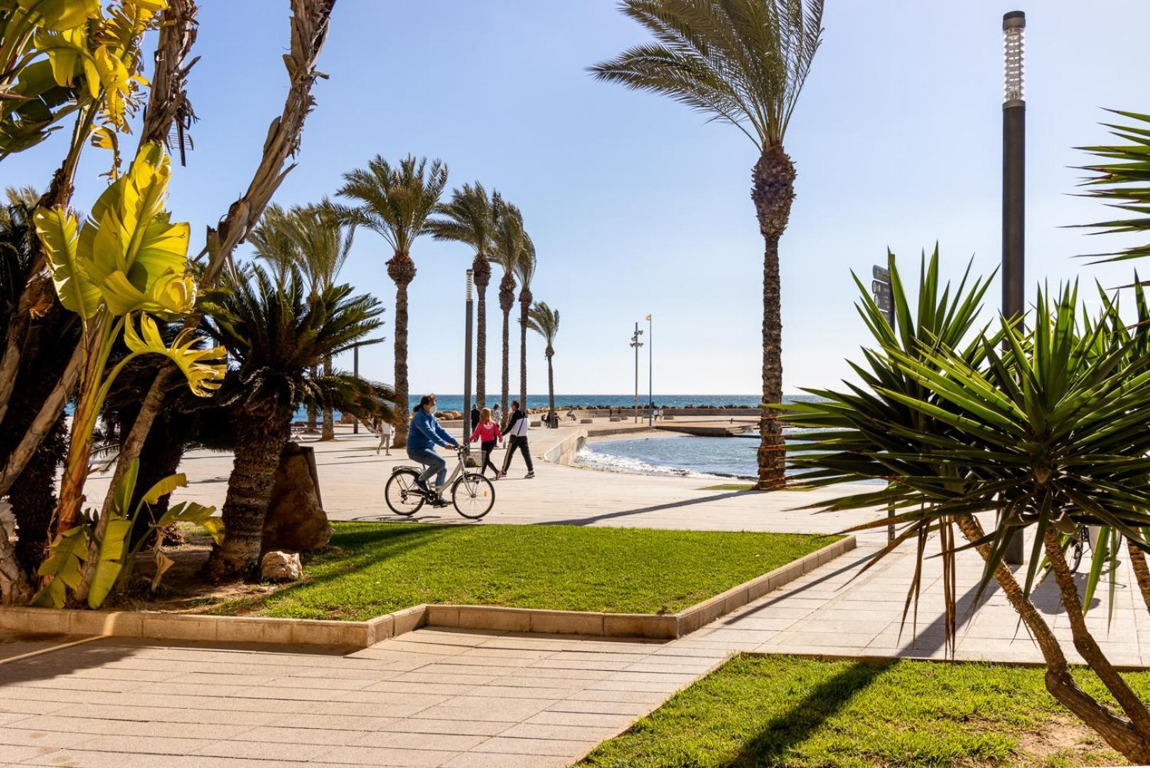 Concordia Beachside Apartment: Near Del Cura & Central Station Torrevieja Exterior photo