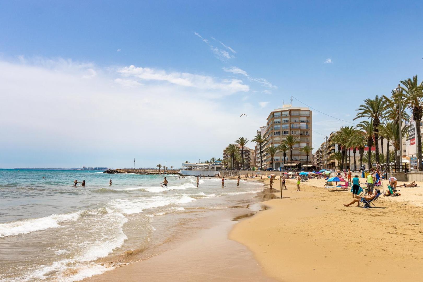 Concordia Beachside Apartment: Near Del Cura & Central Station Torrevieja Exterior photo