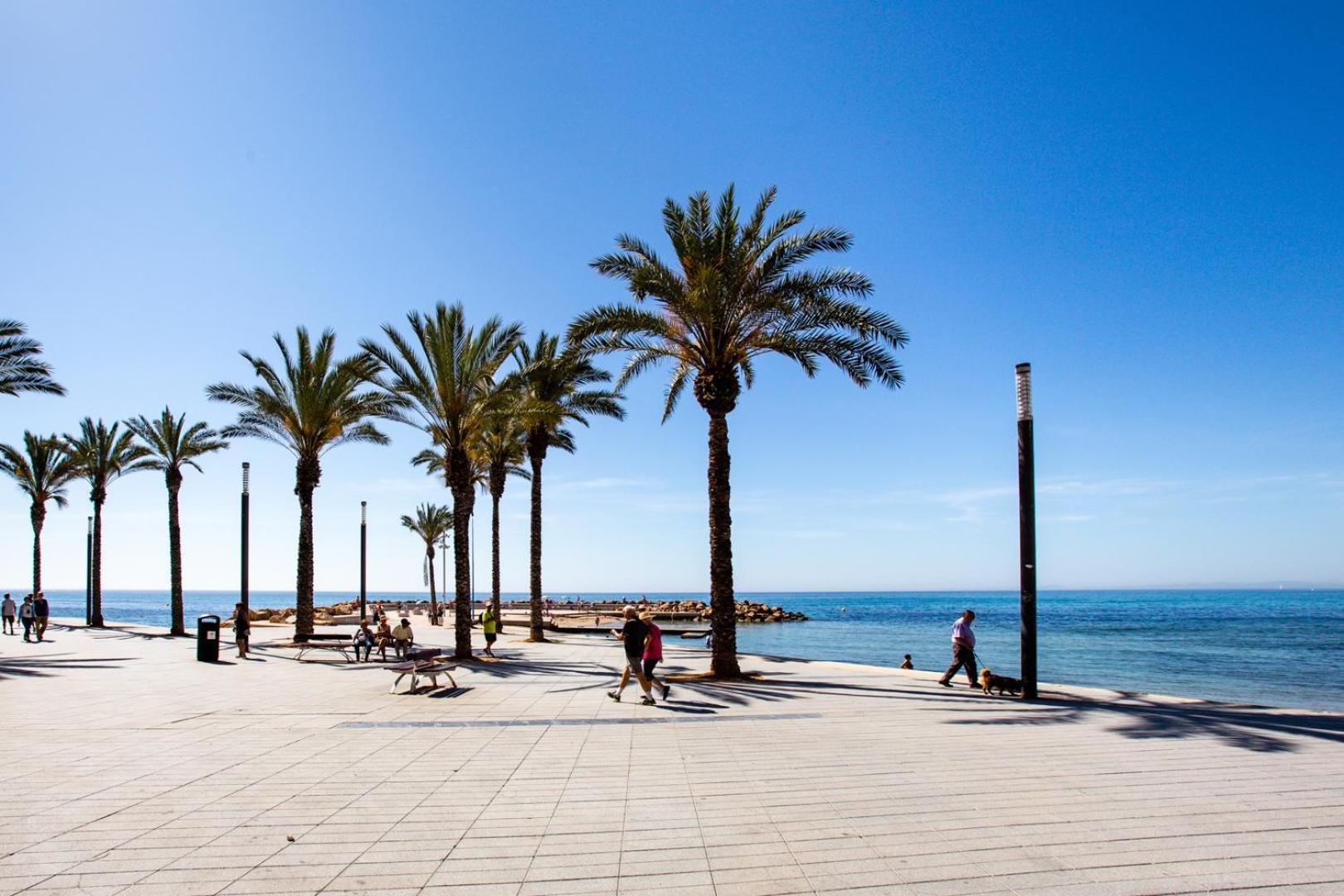 Concordia Beachside Apartment: Near Del Cura & Central Station Torrevieja Exterior photo